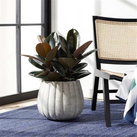 Safavieh Kaston Gray Planter PAT1522A